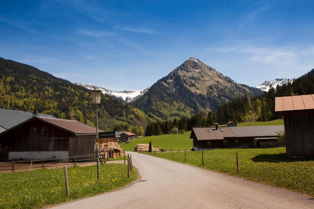 Appartamento Ferienbauernhof Kohler Schoppernau Esterno foto